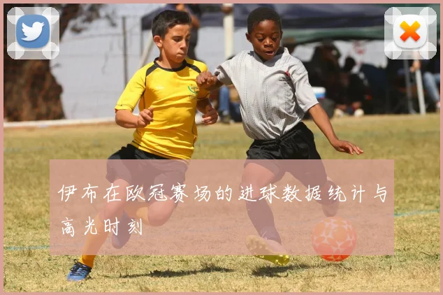 伊布在欧冠赛场的进球数据统计与高光时刻